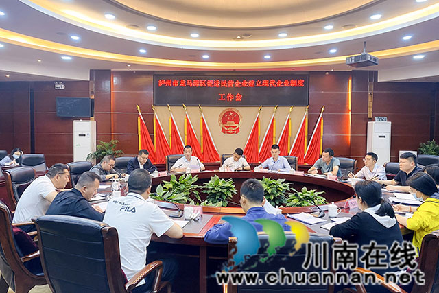 龙马潭区召开促进民营企业建立现代企业制度工作会