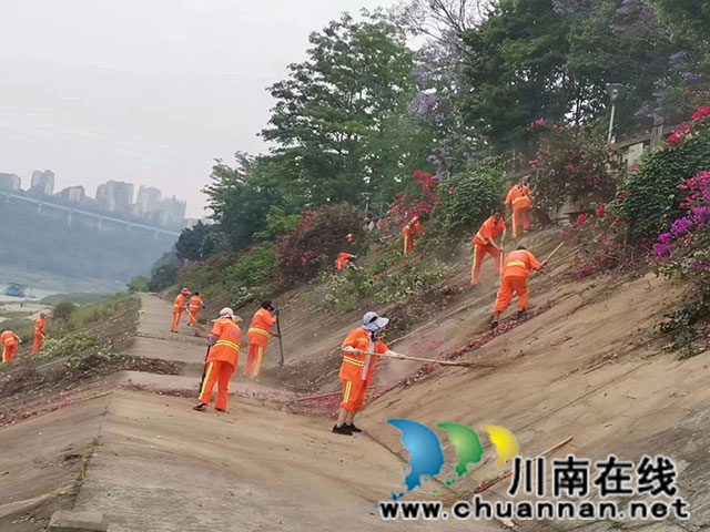 龙马潭区综合行政执法局：环卫工人“预”字当先 打好防汛备汛“主动仗”