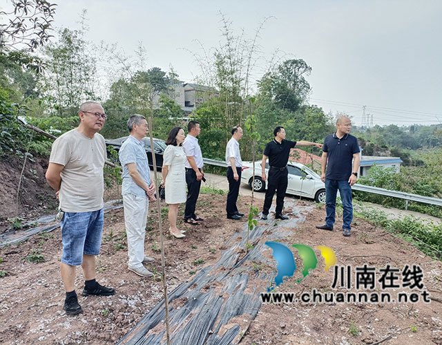 泸县县委常委、组织部部长肖春到云龙镇督导当前重点工作