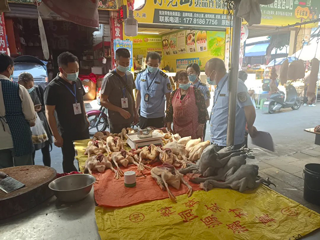 计量护民生 枝叶总关情┃泸州市市场监管局开展电子秤计量专项整治(图3) 3.jpg