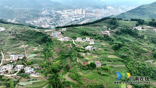 微信图片_20230609165336.jpg