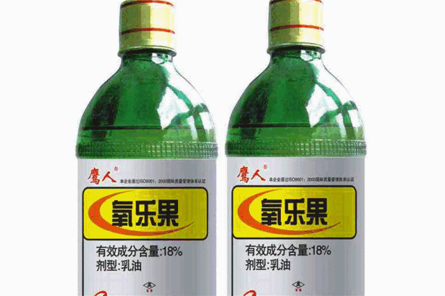 3.gif
