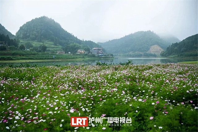 泸州:清凉一夏,8个点位可参考(图1) 1.jpg