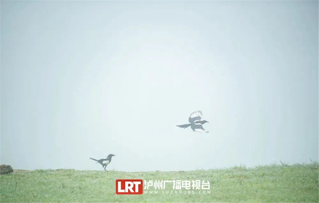 泸州:清凉一夏,8个点位可参考(图5) 5.jpg