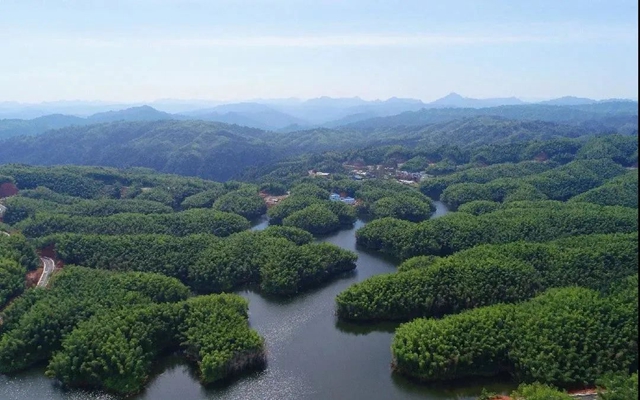 泸州:清凉一夏,8个点位可参考(图20) 20.jpg
