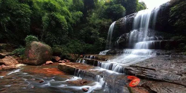 泸州:清凉一夏,8个点位可参考(图24) 24.jpg