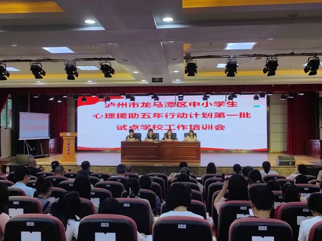 龙马潭区开展中小学生心理援助五年行动计划第一批试点学校工作培训会
