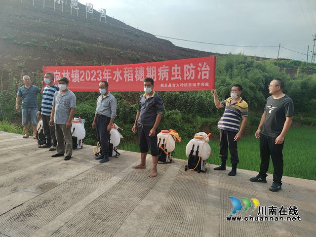 叙永县向林镇积极开展水稻病虫害统防统治行动