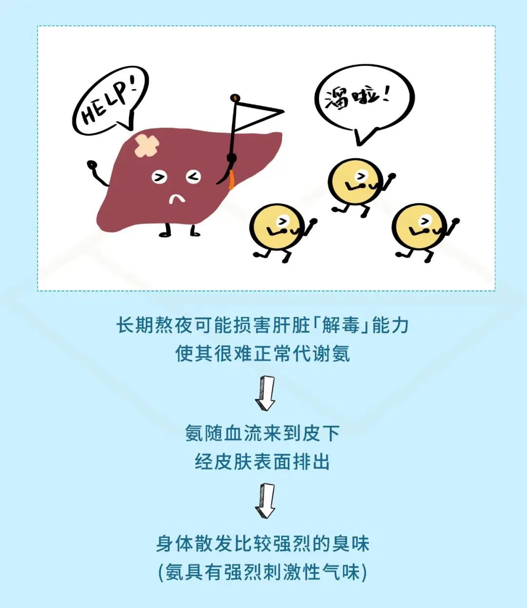 【好奇】为啥熬夜之后,身体会变得pang臭?(图5) 5.jpg
