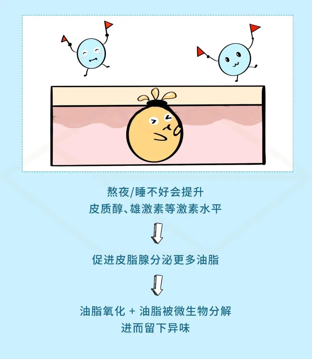 【好奇】为啥熬夜之后,身体会变得pang臭?(图6) 6.jpg