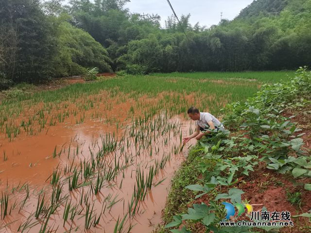 干部查看灾情及受灾情况%20(3).jpg