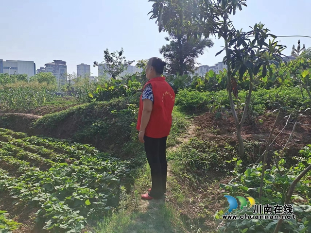 泸县玉蟾街道：强化秸秆禁烧  助力蓝天保卫战