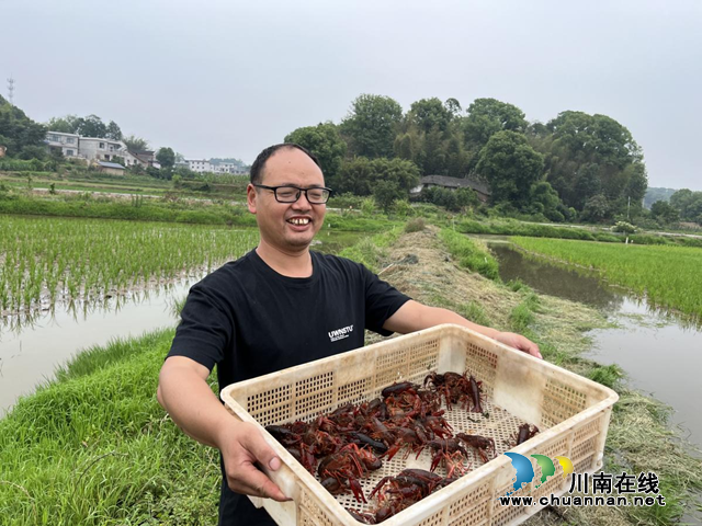 合江县:447名田长就位 齐力守好“饭碗田”(图6) 图片6.png