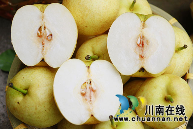 龙马潭:纯手工翠冠梨膏 清新又健康(图3) _26A3465.jpg