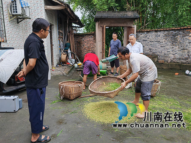 现场脱粒（曾佐然摄）.jpg