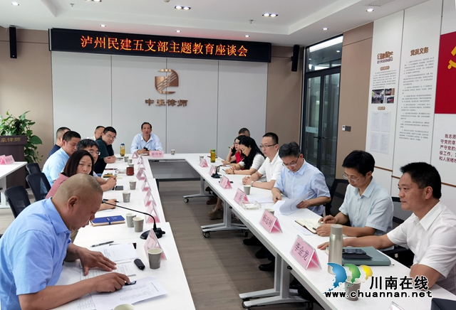 民建泸州市属五支部开展主题教育