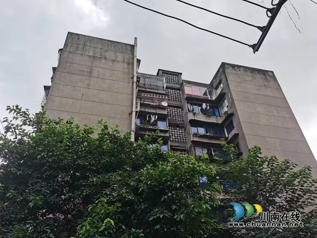 龙马潭区小市街道杜家街社区：“小网格”发挥“大作用”