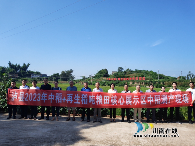 泸县2023年中稻+再生稻吨粮田核心展示区中稻又创佳绩