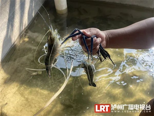微信图片_20230817111400_4.jpg