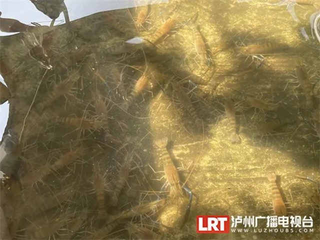 微信图片_20230817111400_5.jpg