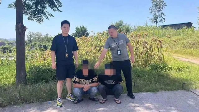 油4.jpg
