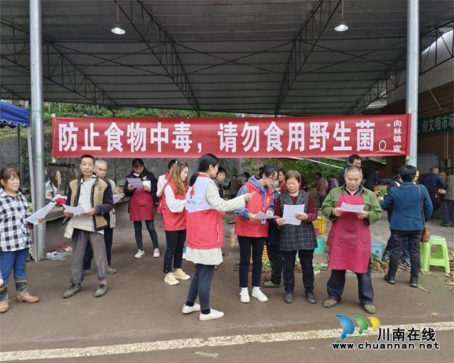 叙永县五举措抓细抓实野生菌中毒防控工作