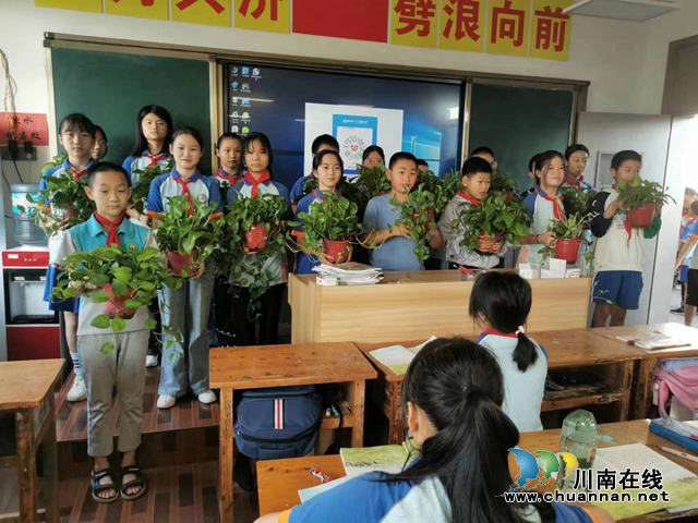 纳溪区天仙镇中心小学开展爱绿护绿活动