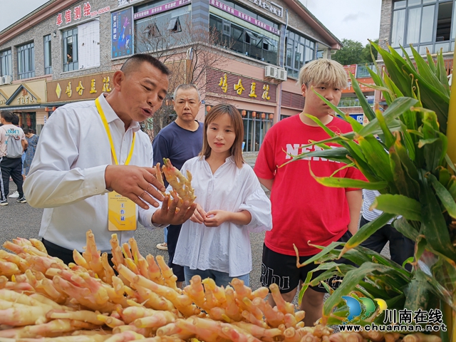 牛滩生姜展销1（曾佐然摄）.jpg