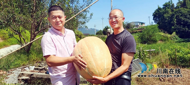 图3：村民体验抱“南瓜王”.jpg