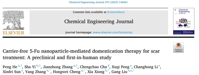西南医大附院皮肤科团队在国际知名期刊上发表高质量文章！