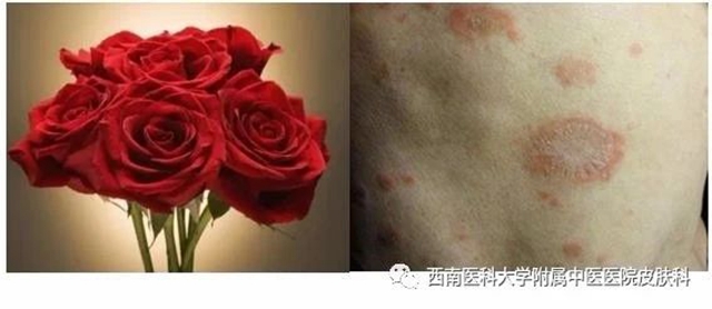 微信图片_20231011085850.jpg