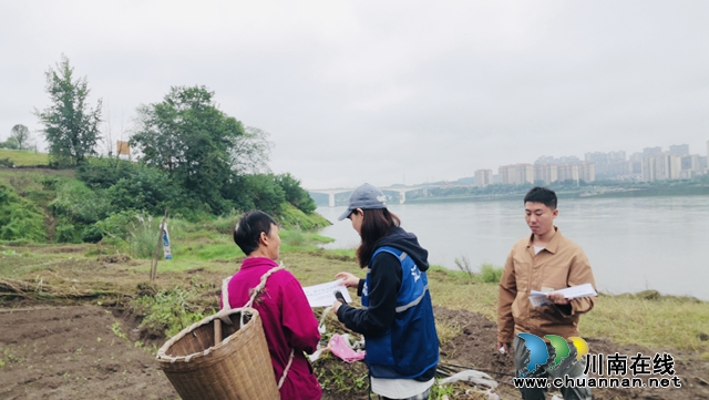 江阳区华阳街道开展辖区河滩地专项巡查整治行动