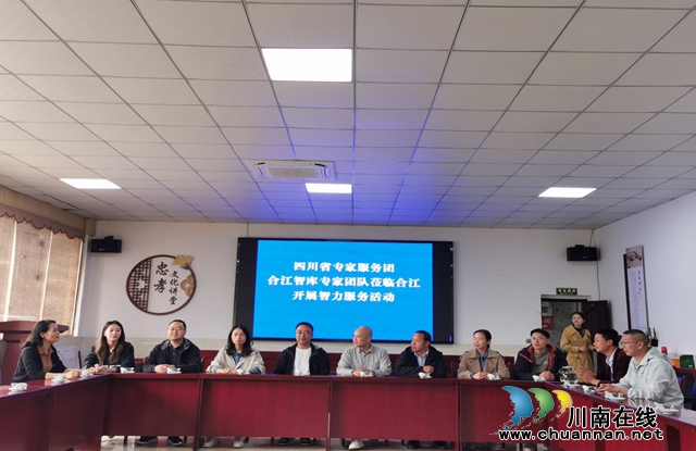 四川省专家服务团合江智库专家团队到合江开展智力服务活动