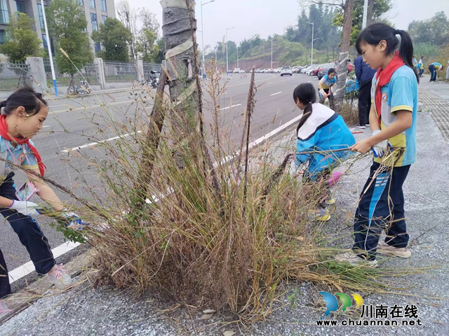 捡拾一方垃圾 “净”待一片花开 | 泸州市自强学校开展校园周边环境卫生清扫活动