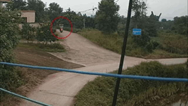 微信图片_20231031104553_副本.gif