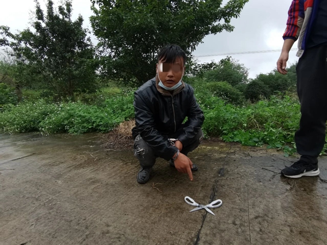 微信图片_20231031104608.jpg