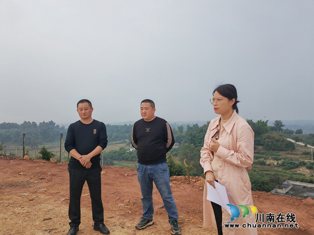 镇村社干部在荔枝基地察看（曾佐然摄）.jpg