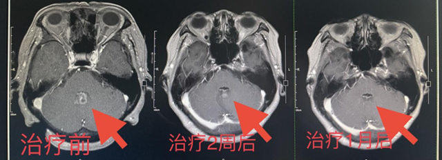 微信图片_20231102092730.png