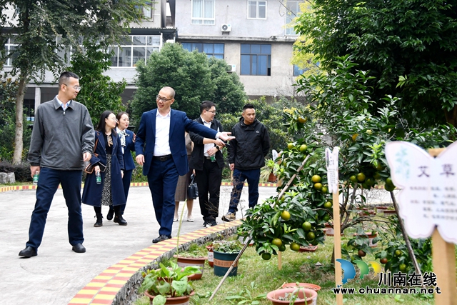 叙永县龙凤镇中心小学校接受市中医药文化进校园示范校评审考察