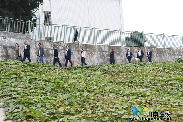 泸县副县长甘露率队督导喻家河河长制工作