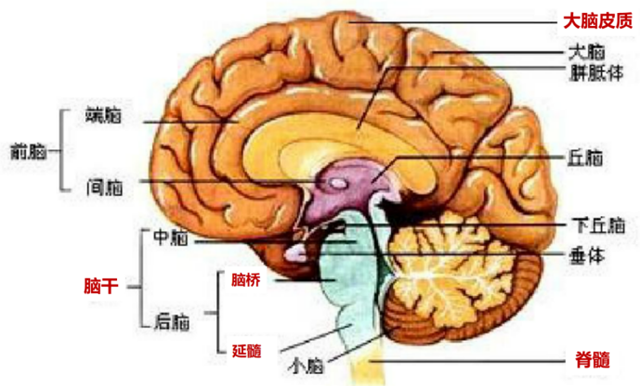 微信图片_20231120101116.png