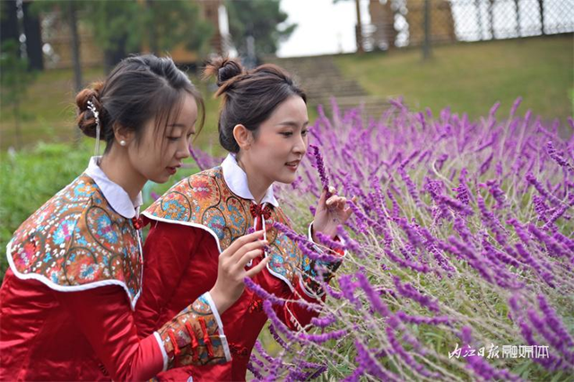 微信图片_20231205110006.png