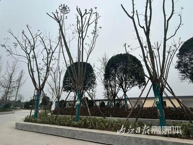 微信图片_20231206111105.jpg