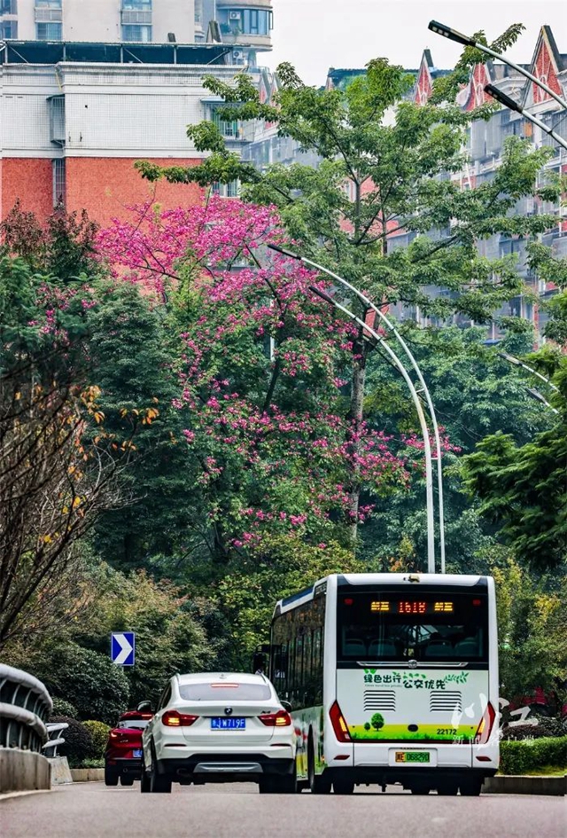微信图片_20231207103615.jpg