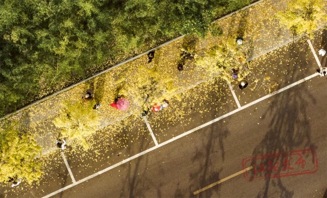 江阳初冬美学(图6) 6.jpg