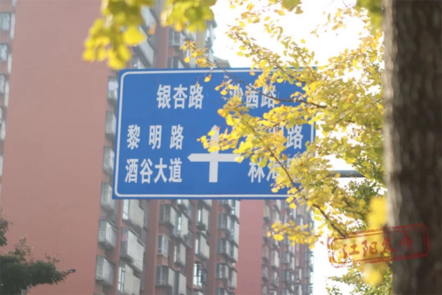 江阳初冬美学(图9) 9.jpg