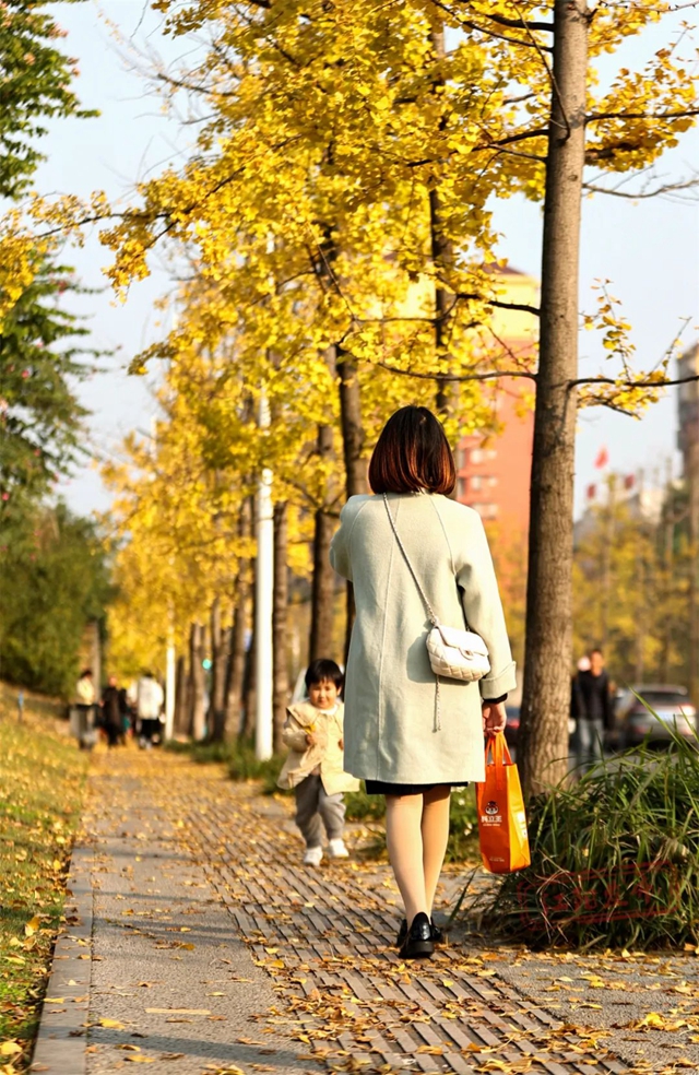 江阳初冬美学(图11) 11.jpg