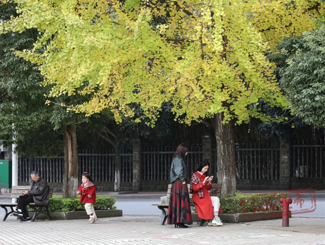 江阳初冬美学(图12) 12.jpg