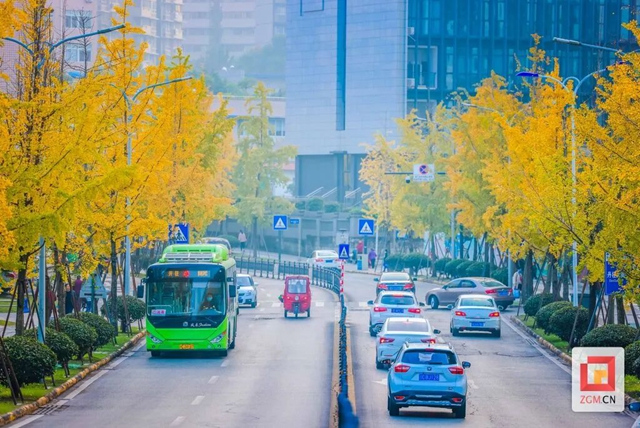 冬日的自贡犹如一幅绚丽的多彩画卷(图12) 微信图片_20231212100412.jpg