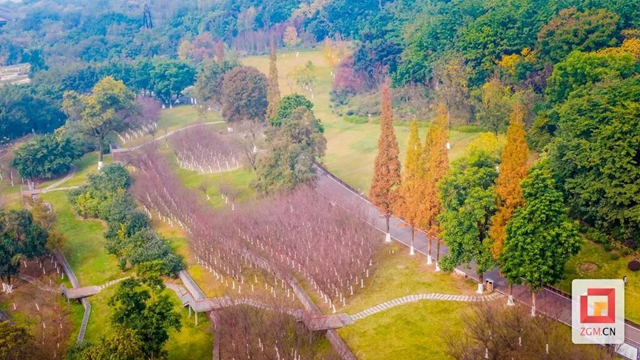 冬日的自贡犹如一幅绚丽的多彩画卷(图18) 微信图片_20231212100442.jpg